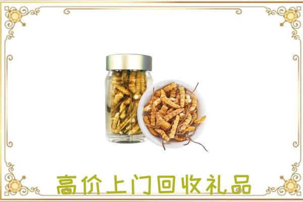 甘孜周边回收虫草